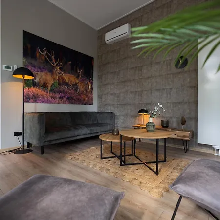 Beautiful With Fireplace In The Veluwe *