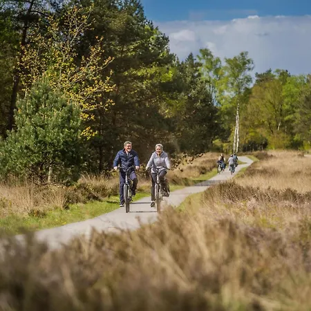 Hébergement de vacances Woodland With Heated Pool Hoenderloo