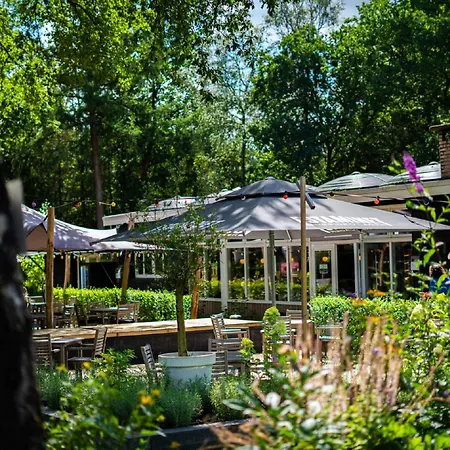 Beautiful With Fireplace In The Veluwe Hoenderloo