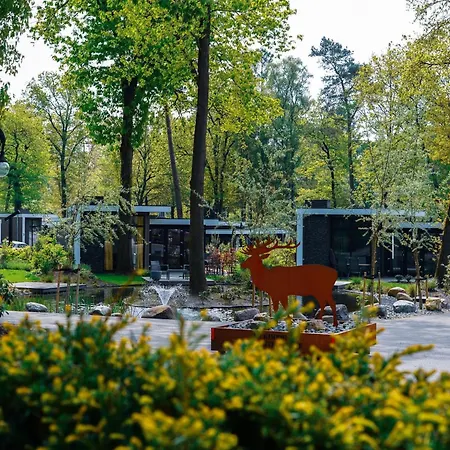 Beautiful With Fireplace In The Veluwe Hoenderloo