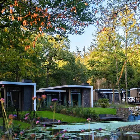 Woodland With Heated Pool * Hoenderloo