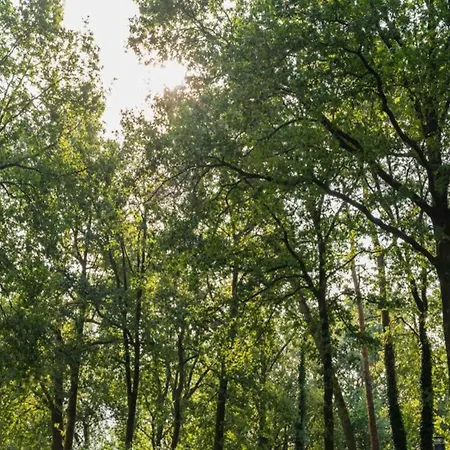 Beautiful With Fireplace In The Veluwe *