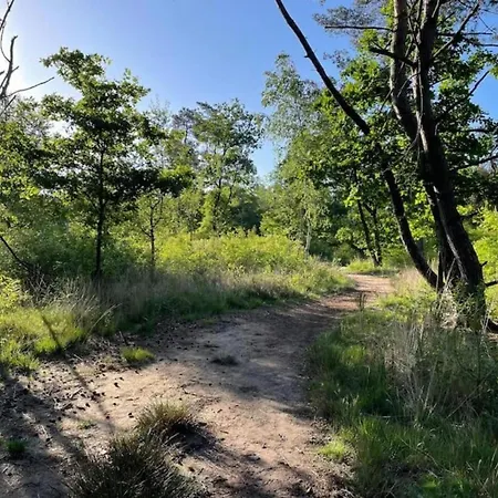 Woodland With Heated Pool Hoenderloo