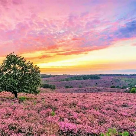 Σπίτι διακοπών Beautiful With Fireplace In The Veluwe
