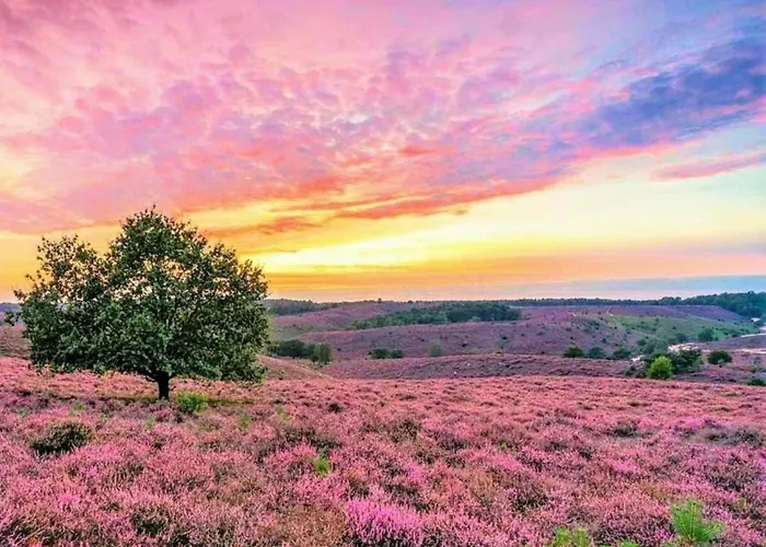 بيت للعطل Woodland With Heated Pool