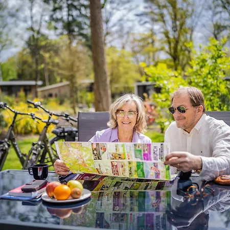 Woodland With Heated Pool * Hoenderloo