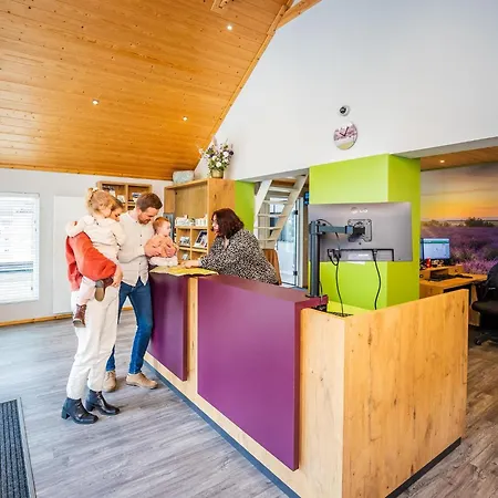 Woodland With Heated Pool * Hoenderloo