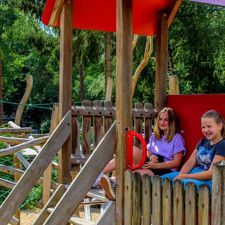 Woodland With Heated Pool Feriehus Hoenderloo