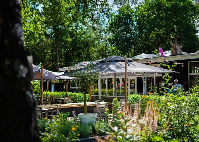 Woodland With Heated Pool Hoenderloo