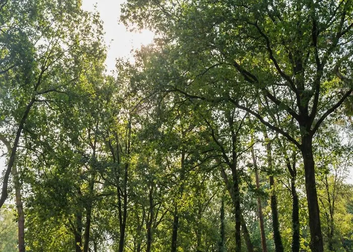 Woodland With Heated Pool *