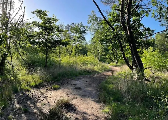 Woodland With Heated Pool Hoenderloo